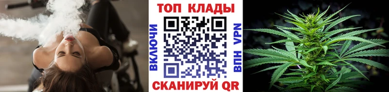 МЕФ Вольск