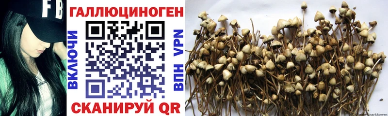 ссылка на мегу ссылка  цены   Вольск  Псилоцибиновые грибы мухоморы 