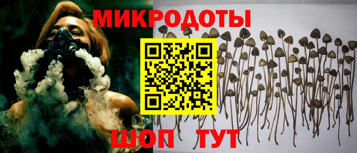 Псилоцибиновые грибы Magic Shrooms  Вход с VPN  Вольск 