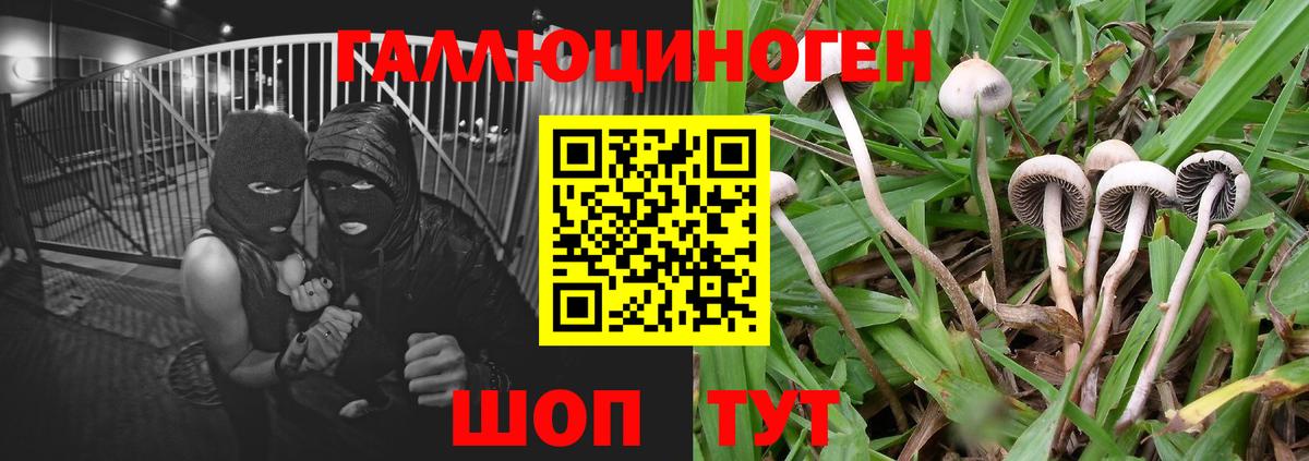 Псилоцибиновые грибы Magic Shrooms Вольск